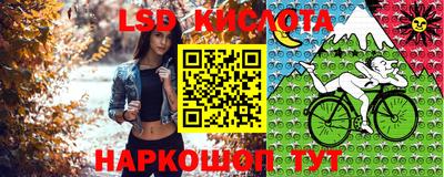 крисы Мариинск