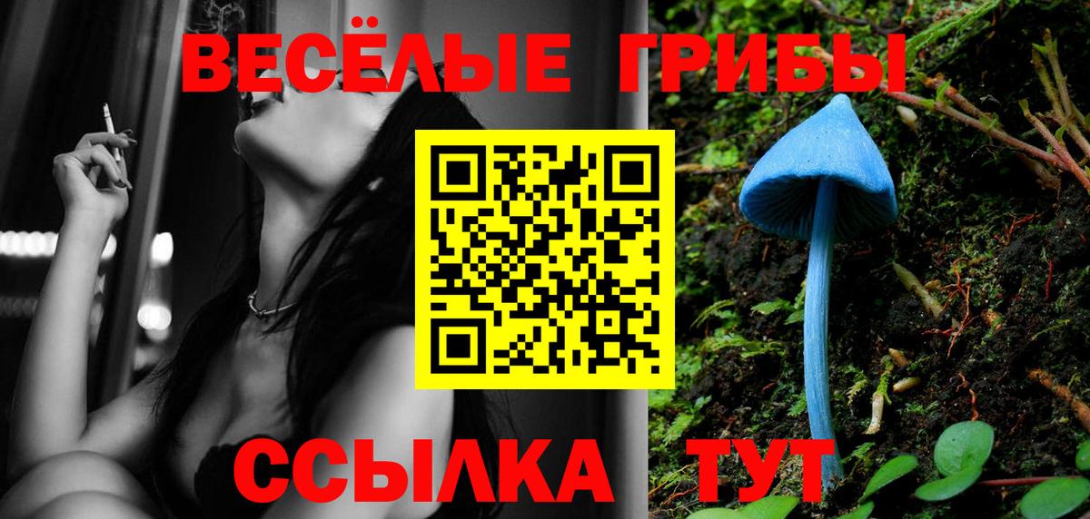 Алексин  Псилоцибиновые грибы GOLDEN TEACHER  Вход с VPN 
